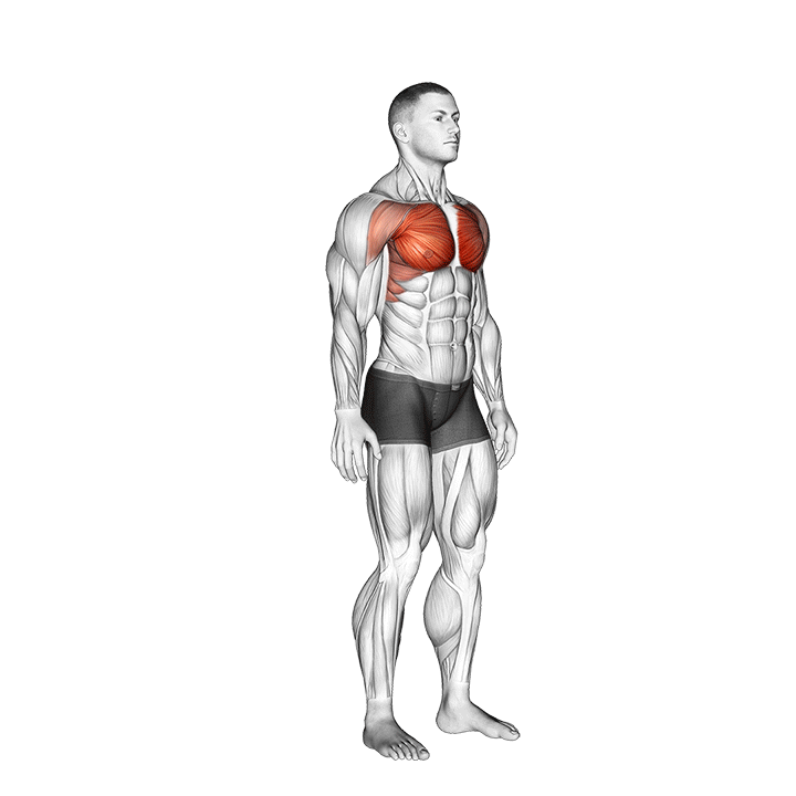 Animation of how to do Above head chest stretch