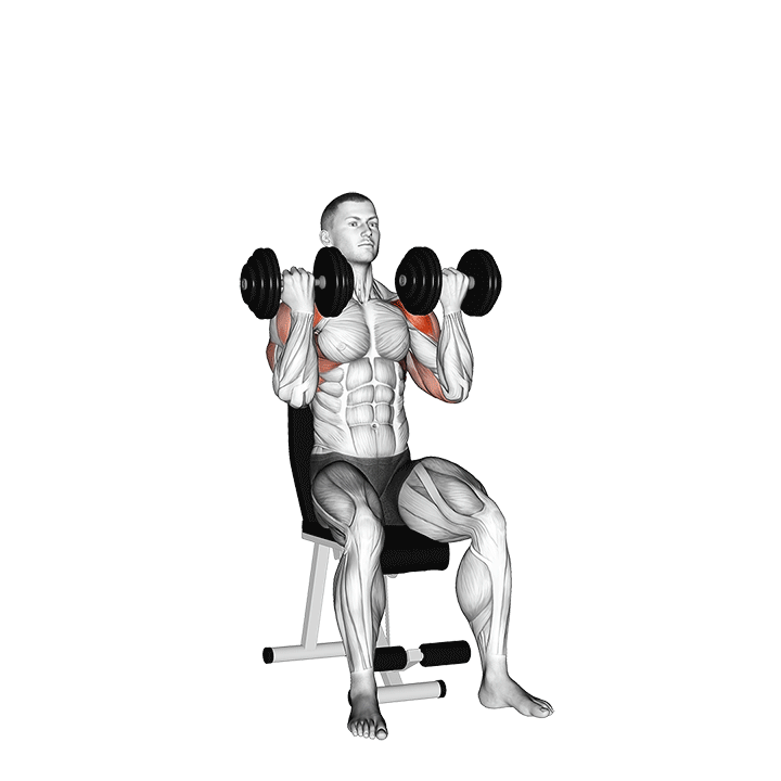 Animation of how to do Dumbbell Arnold press