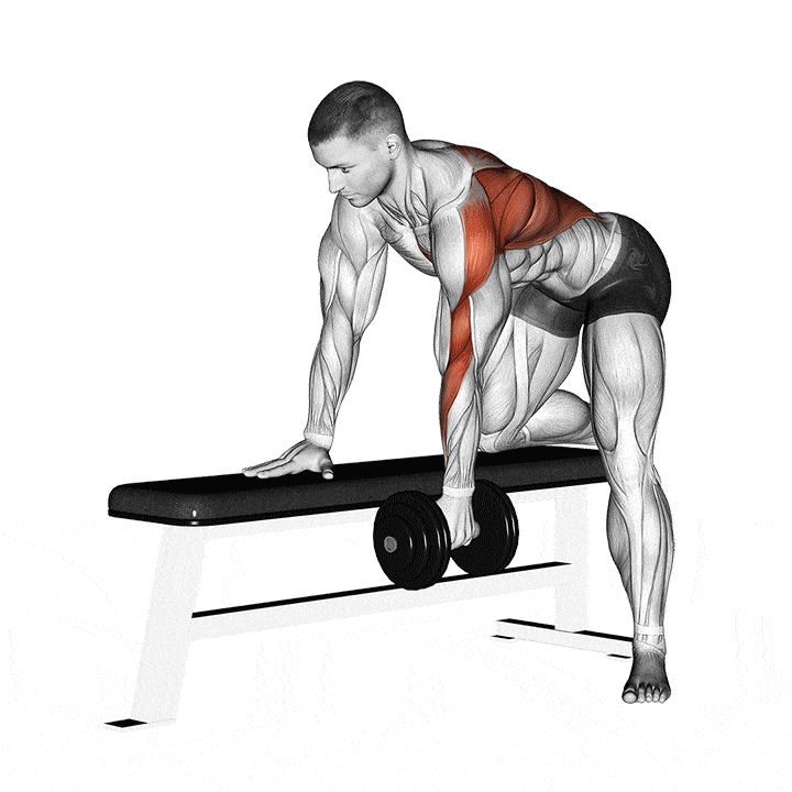 Animation of how to do Dumbbell bent-over rows