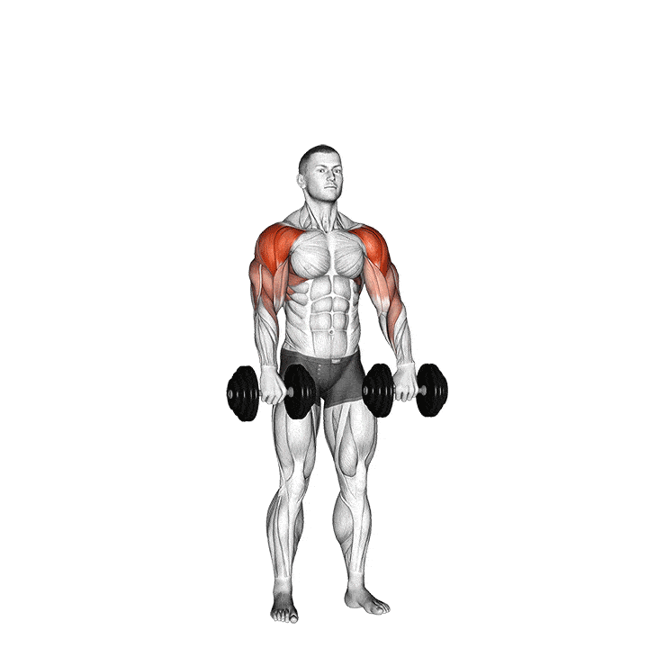Animation of how to do Dumbbell cuban press