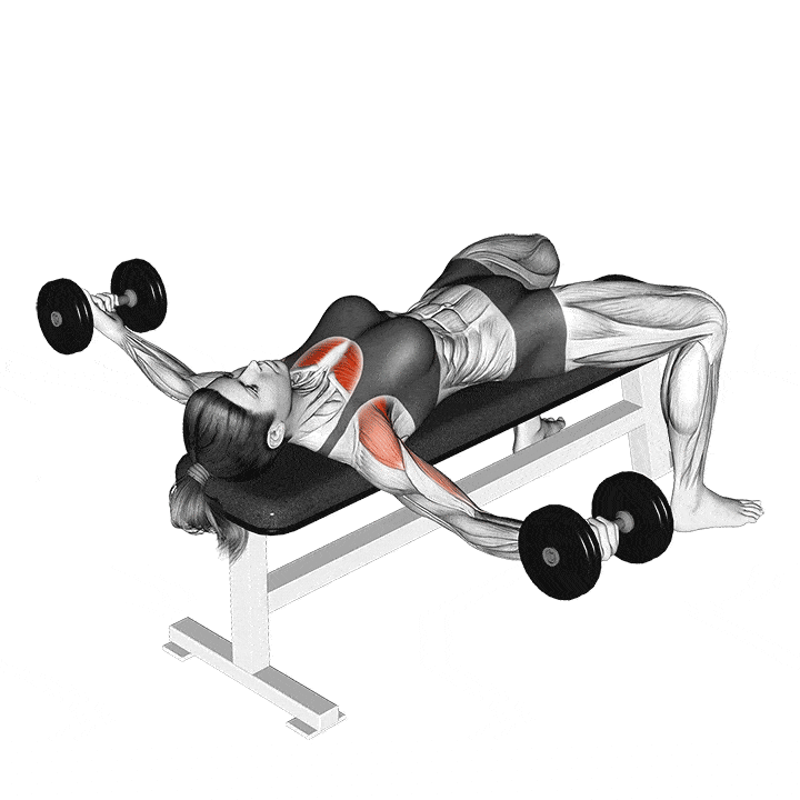 Animation of how to do Dumbbell fly