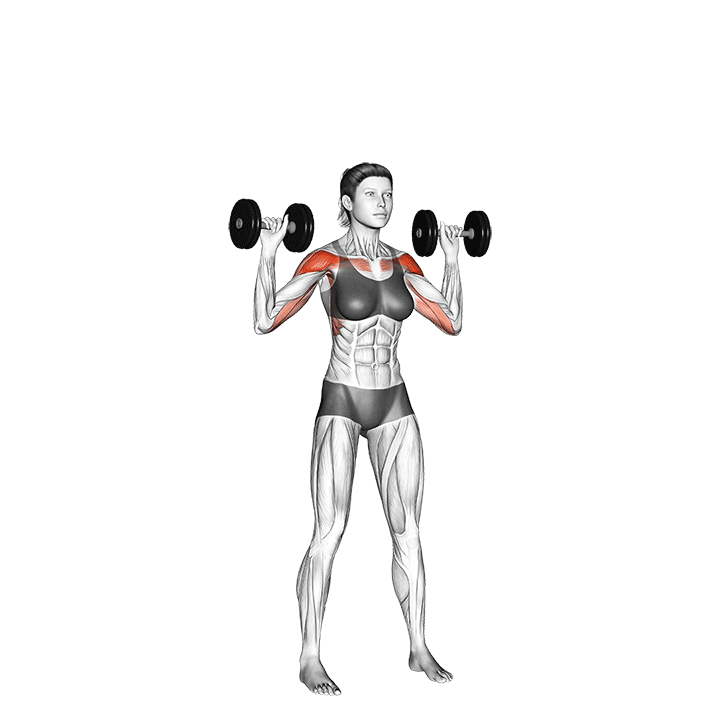 Animation of how to do Dumbbell shoulder press
