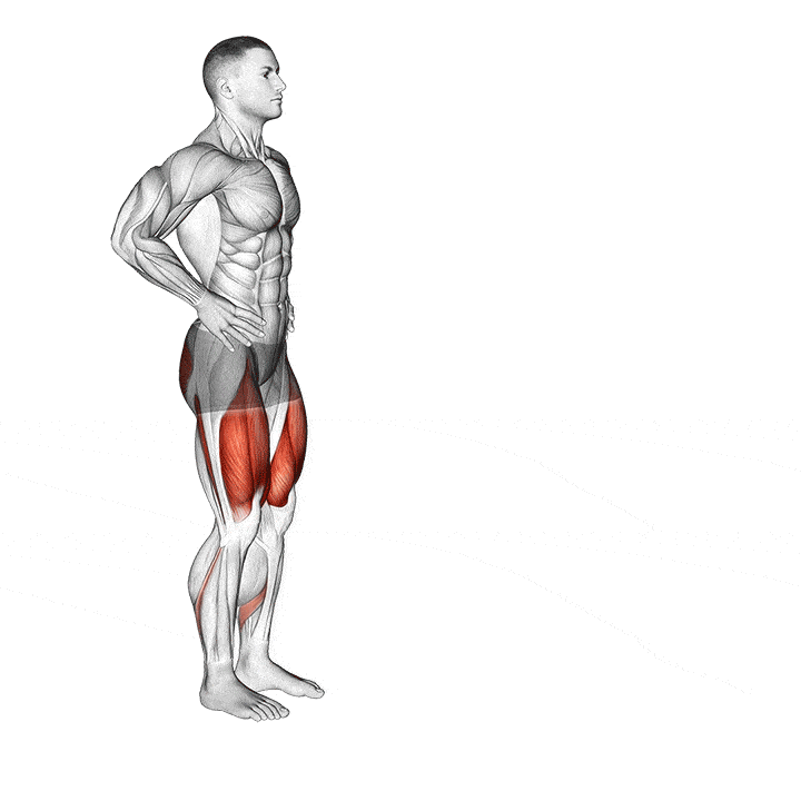 Animation of how to do Forward lunges