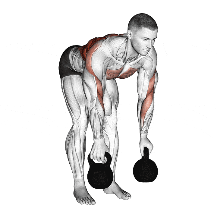 Animation of how to do Kettlebell bent-over rows
