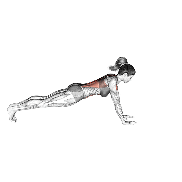Animation of how to do Plank arm lifts
