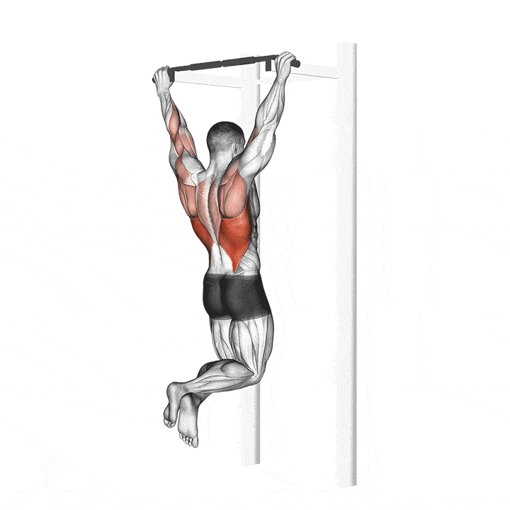 Animation of how to do Pull-ups