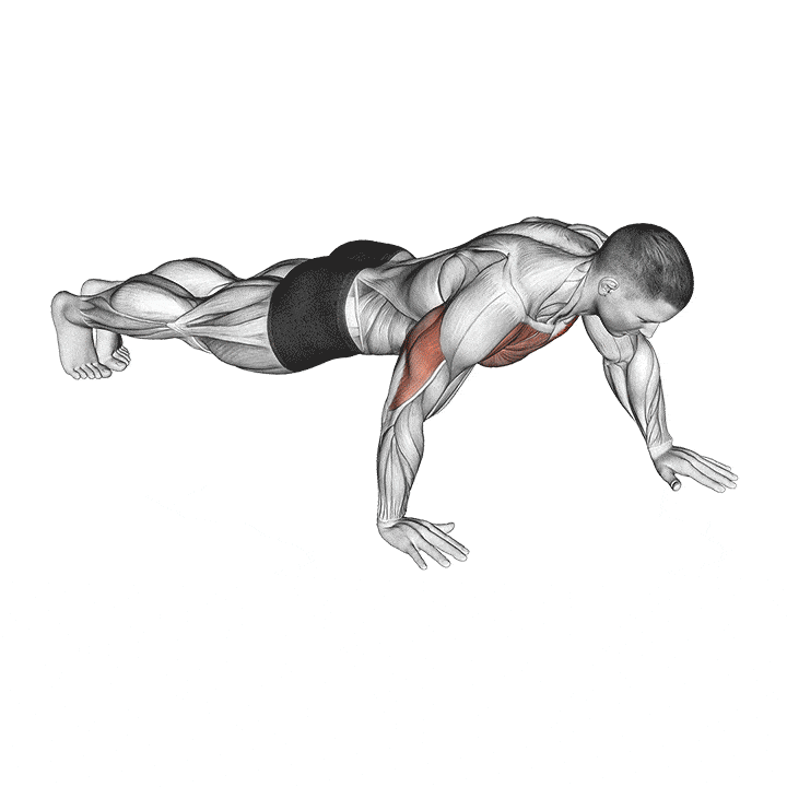 Animation of how to do Push-ups