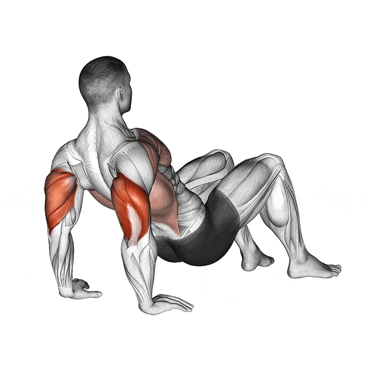 Animation of how to do Tricep dips